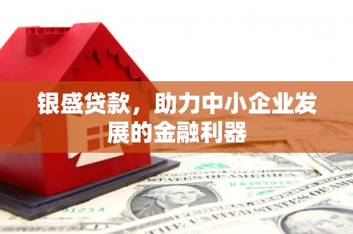 兰溪银盛贷款，助力中小企业发展的金融利器