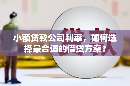 兰溪小额贷款公司利率，如何选择最合适的借贷方案？