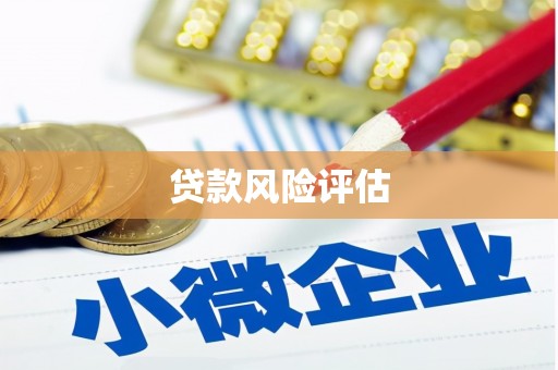 兰溪贷款风险评估