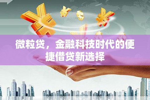 兰溪微粒贷，金融科技时代的便捷借贷新选择