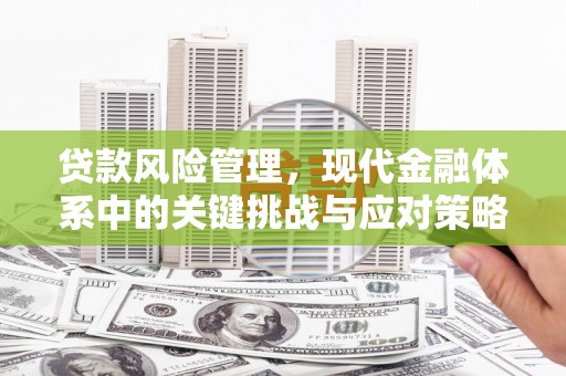 兰溪贷款风险管理，现代金融体系中的关键挑战与应对策略