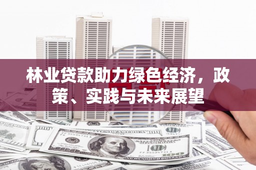 兰溪林业贷款助力绿色经济，政策、实践与未来展望